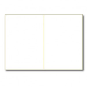 A4 DHL 210x148 (2/1) Jet-Laser kwaliteit